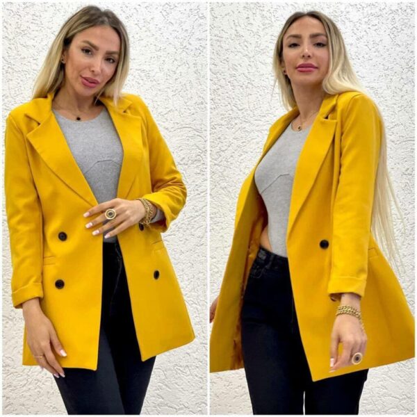 Veste courte pour femmes d’automne et printemps